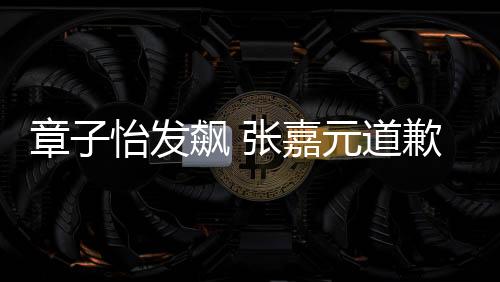 章子怡發(fā)飆 張嘉元道歉事件內(nèi)幕揭秘