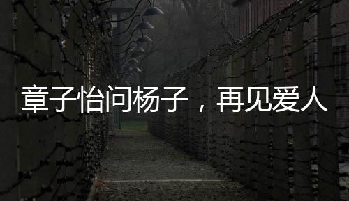 章子怡問楊子，再見愛人是演的嗎？專訪解讀綜藝節(jié)目幕后故事