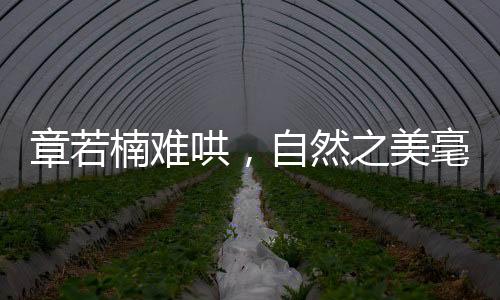 章若楠難哄，自然之美毫無攻擊性，如詩如畫引人入勝