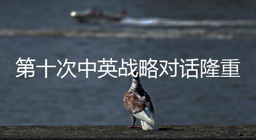 第十次中英戰(zhàn)略對話隆重舉行，深化合作，共謀發(fā)展