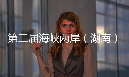 第二屆海峽兩岸（湖南）青年交流發(fā)展大會(huì)舉行  共促文化藝術(shù)發(fā)展