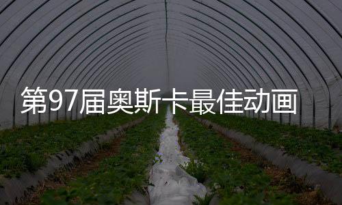 第97屆奧斯卡最佳動(dòng)畫長(zhǎng)片，超越想象的藝術(shù)佳作