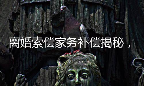 離婚索償家務(wù)補(bǔ)償揭秘，一紙判決背后究竟隱藏著怎樣的故事？