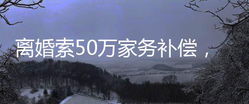 離婚索50萬(wàn)家務(wù)補(bǔ)償，權(quán)益保障與社會(huì)議題引發(fā)深思