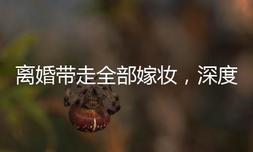 離婚帶走全部嫁妝，深度解讀背后的情感與經(jīng)濟(jì)問題