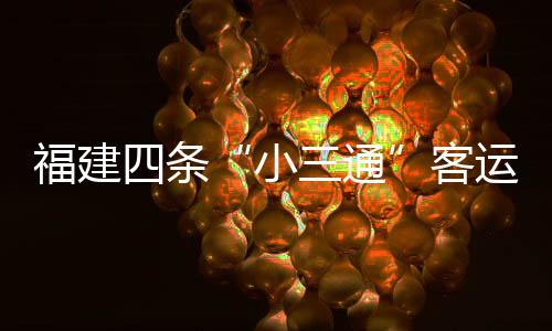 福建四條“小三通”客運(yùn)航線春運(yùn)十天客運(yùn)量超5.6萬人次