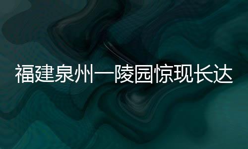 福建泉州一陵園驚現(xiàn)長達(dá)三米大蛇，引發(fā)關(guān)注