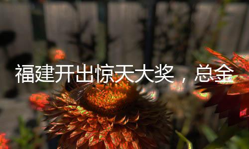 福建開出驚天大獎，總金額高達(dá)1.11億！