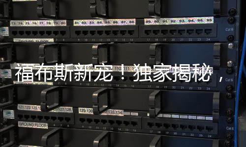 福布斯新寵！獨(dú)家揭秘，80后美女副總裁嶄露頭角登上福布斯富豪榜