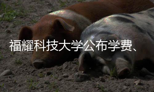 福耀科技大學(xué)公布學(xué)費(fèi)、招生人數(shù)等，最新資訊詳解