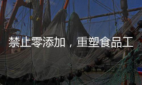 禁止零添加，重塑食品工業(yè)的新篇章