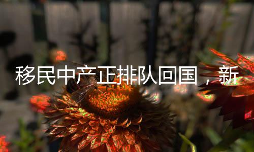 移民中產(chǎn)正排隊回國，新時代背景下的國際人才流動新趨勢