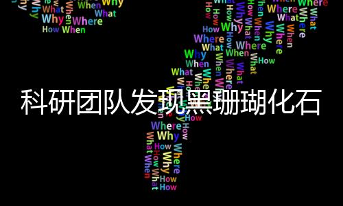 科研團(tuán)隊(duì)發(fā)現(xiàn)黑珊瑚化石新種 填補(bǔ)演化史上關(guān)鍵空白