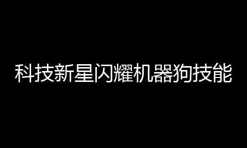 科技新星閃耀機(jī)器狗技能值拉滿，展現(xiàn)未來智能無限可能