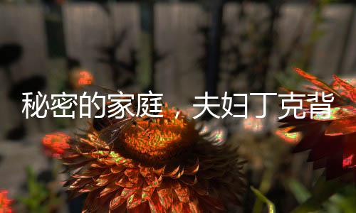 秘密的家庭，夫婦丁克背后的故事
