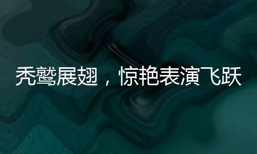 禿鷲展翅，驚艷表演飛躍人群——揭秘鳥類藝術(shù)的神奇時刻