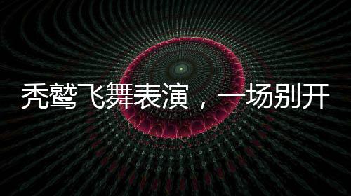 禿鷲飛舞表演，一場別開生面的視覺盛宴