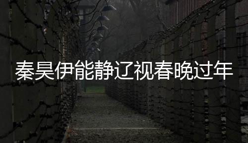 秦昊伊能靜遼視春晚過年，星光璀璨，共慶佳節(jié)