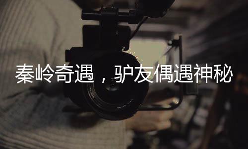 秦嶺奇遇，驢友偶遇神秘六不像神獸