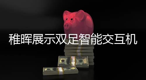 稚暉展示雙足智能交互機(jī)器人，未來(lái)科技的嶄新里程碑