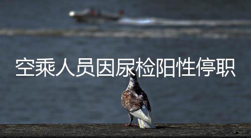 空乘人員因尿檢陽性停職事件的深度解析