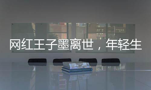網(wǎng)紅王子墨離世，年輕生命的隕落