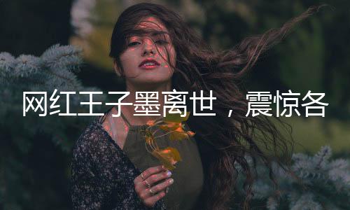 網(wǎng)紅王子墨離世，震驚各界