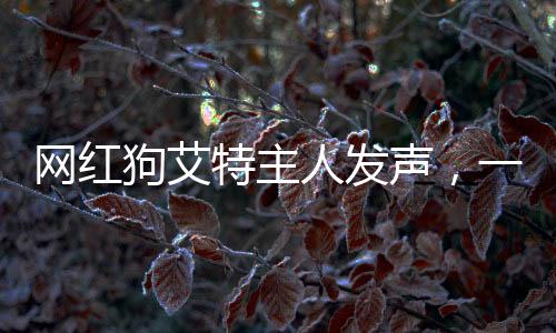 網(wǎng)紅狗艾特主人發(fā)聲，一段跨越物種的深厚情感
