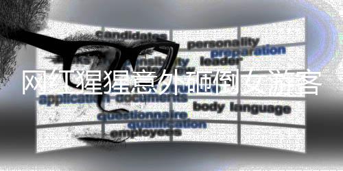 網(wǎng)紅猩猩意外砸倒女游客事件引發(fā)關(guān)注
