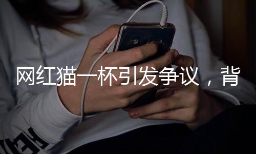 網(wǎng)紅貓一杯引發(fā)爭議，背后隱藏的法律問題