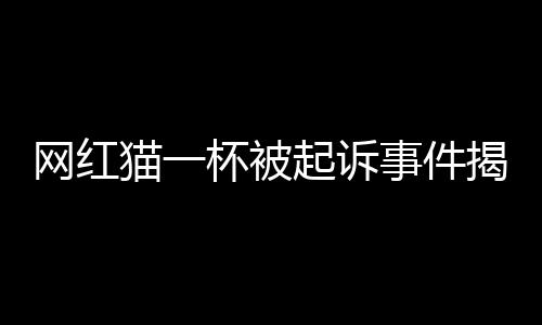 網(wǎng)紅貓一杯被起訴事件揭秘