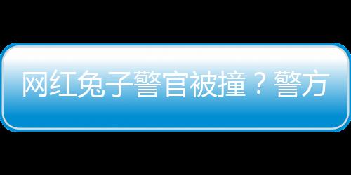 網(wǎng)紅兔子警官被撞？警方辟謠
