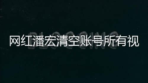 網(wǎng)紅潘宏清空賬號所有視頻原因揭秘，背后引發(fā)深思