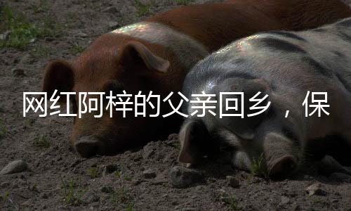 網(wǎng)紅阿梓的父親回鄉(xiāng)，保安爸爸的故事溫暖人心