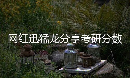 網(wǎng)紅迅猛龍分享考研分?jǐn)?shù)，高分背后的奮斗故事