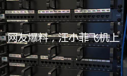 網(wǎng)友爆料，汪小菲飛機(jī)上情感崩潰，引人深思的一幕