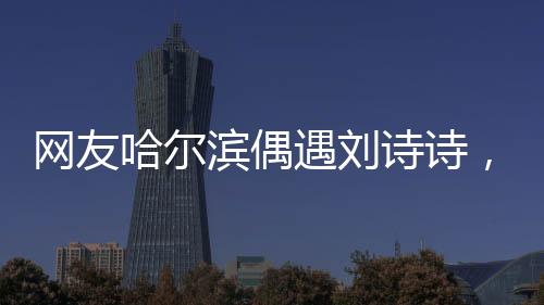 網(wǎng)友哈爾濱偶遇劉詩詩，一次不期而遇的邂逅