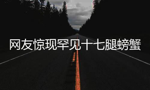 網(wǎng)友驚現(xiàn)罕見十七腿螃蟹，引發(fā)海洋奇觀熱議