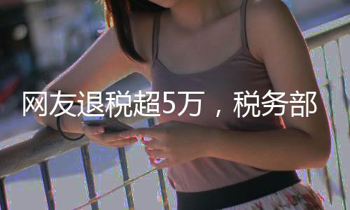 網(wǎng)友退稅超5萬，稅務部門的紅利與公眾期待