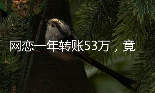 網戀一年轉賬53萬，竟然是親表妹，網戀風險警示故事