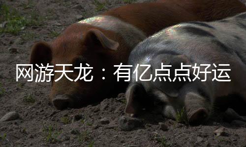 網(wǎng)游天龍：有億點(diǎn)點(diǎn)好運(yùn)