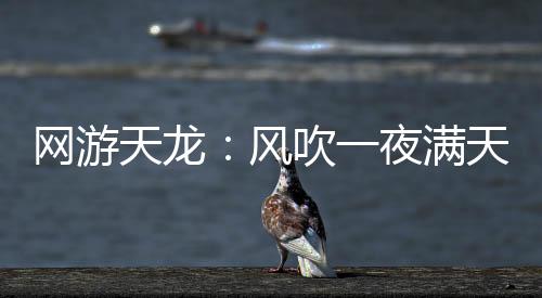 網(wǎng)游天龍：風(fēng)吹一夜?jié)M天山。