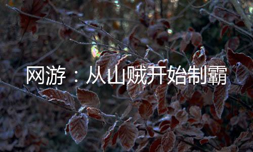 網(wǎng)游：從山賊開始制霸