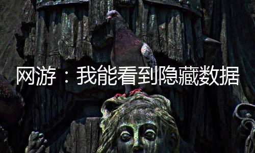 網(wǎng)游：我能看到隱藏?cái)?shù)據(jù)
