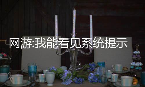 網(wǎng)游:我能看見(jiàn)系統(tǒng)提示