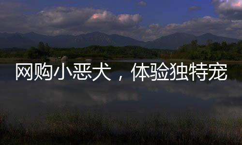 網(wǎng)購(gòu)小惡犬，體驗(yàn)獨(dú)特寵物之旅
