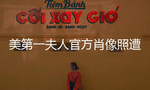 美第一夫人官方肖像照遭吐槽，公眾熱議背后的深層思考