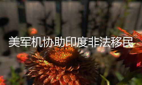 美軍機協(xié)助印度非法移民驅(qū)逐回國事件全面解析