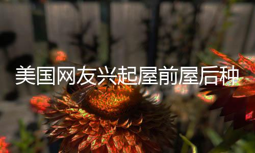 美國網(wǎng)友興起屋前屋后種菜熱潮