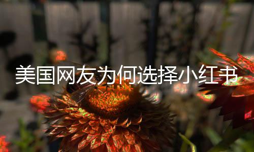 美國(guó)網(wǎng)友為何選擇小紅書？